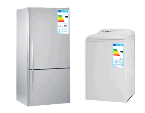 Energy Labels and White Goods